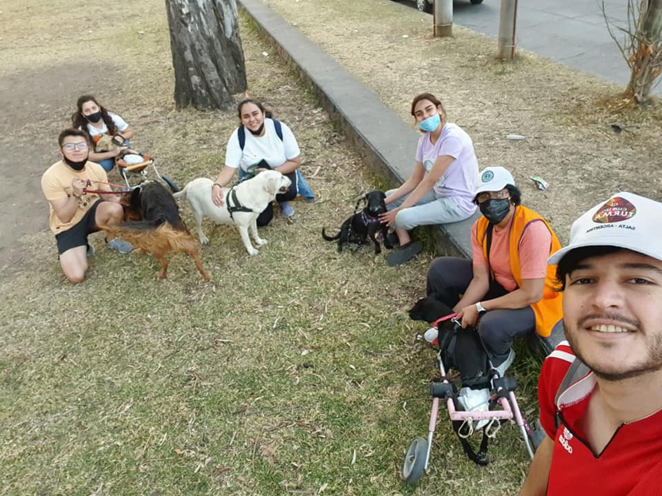 servicios con animales